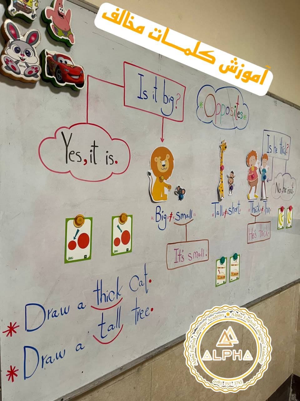 آموزشگاه زبان های خارجه آلفا